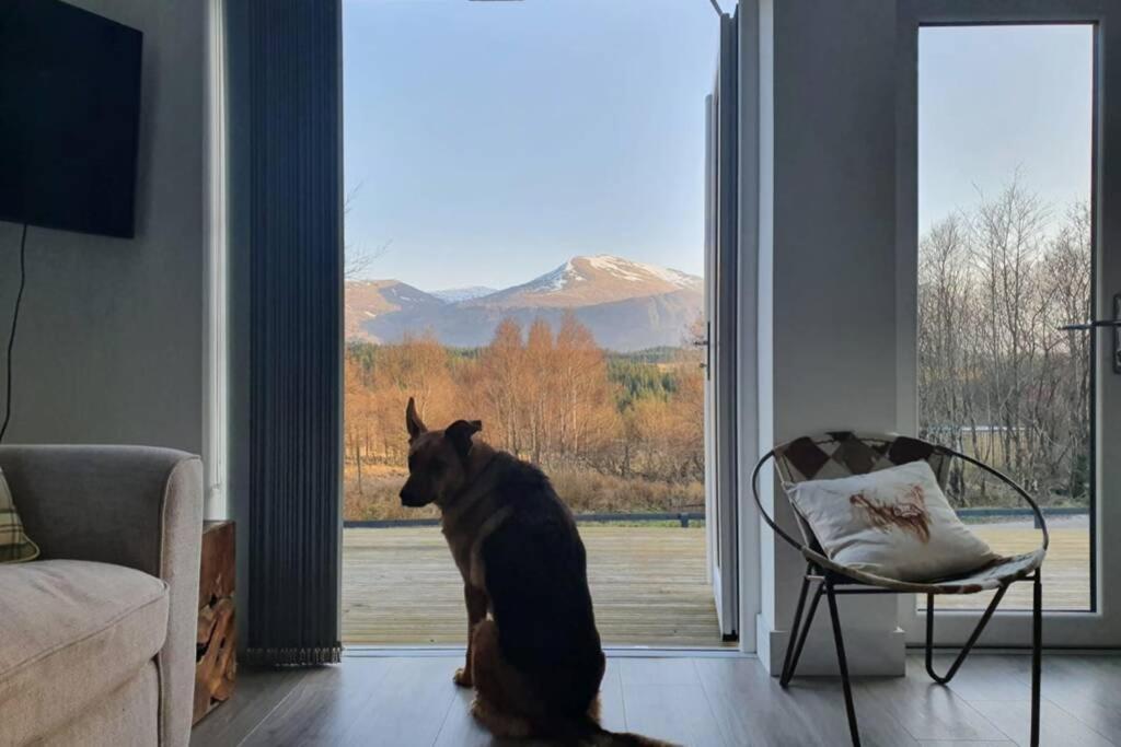Ben Nevis Scotland Highlands, Camden House Luxury Home Fort William Exterior foto